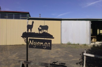 Metal Art - Alpaca and Sheep Sign Post
